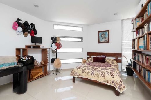 Colinas DE Santa Anita, photograph 8