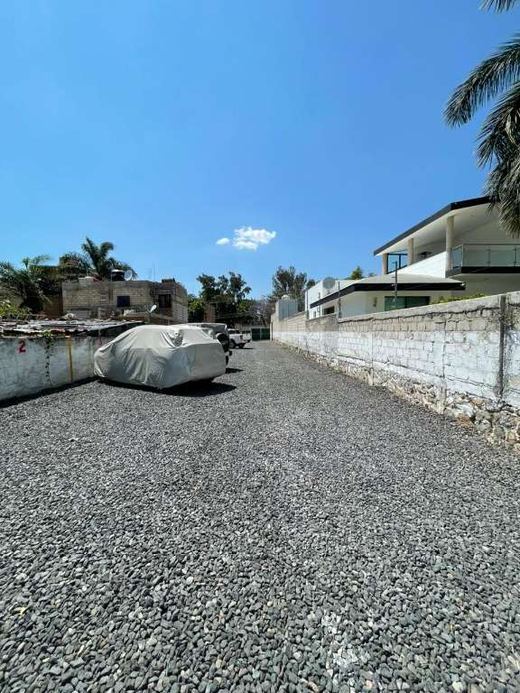 Lote Xochitl, photograph 3