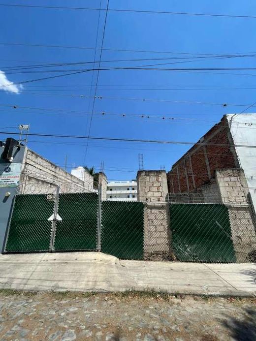 Lote Xochitl, photograph 4
