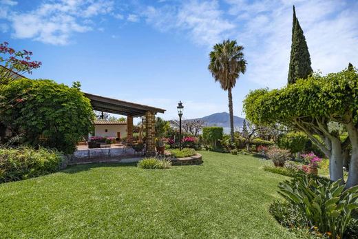La Casa Del Agave, photograph 2