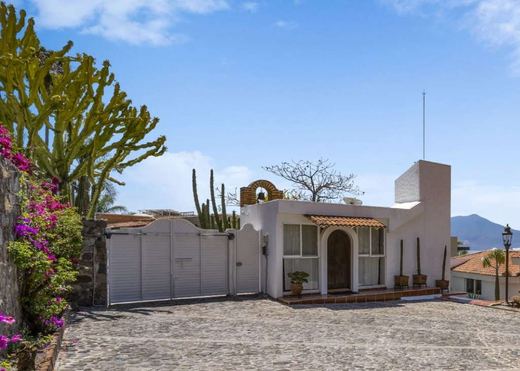 La Casa Del Agave, photograph 3