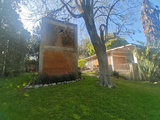 EL Jardin DE Lupita, photograph 12