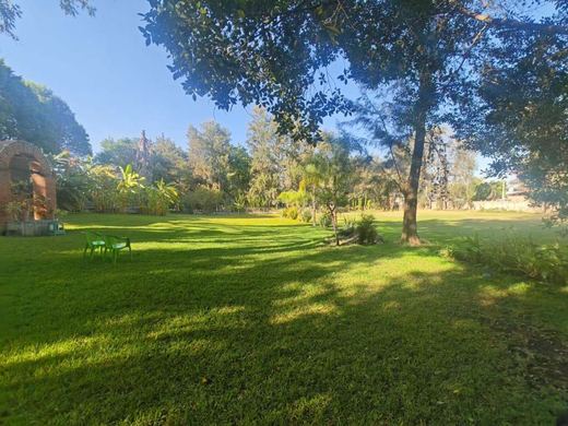 EL Jardin DE Lupita, photograph 2