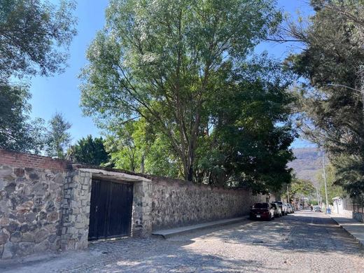 EL Jardin DE Lupita, photograph 4