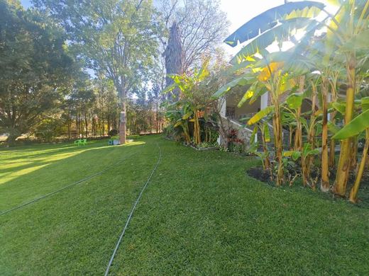 EL Jardin DE Lupita, photograph 7