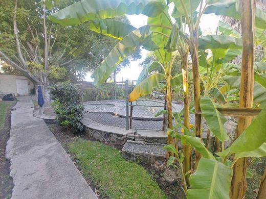 EL Jardin DE Lupita, photograph 9