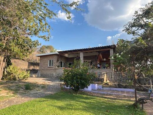 Garden Paradise in San Luis Soyatlan