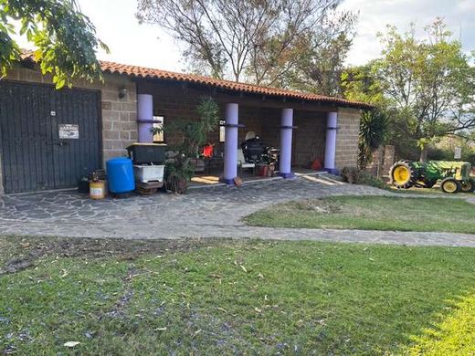 Garden Paradise, photograph 10