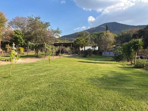 Garden Paradise, photograph 11