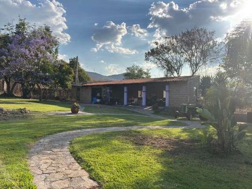 Garden Paradise, photograph 12