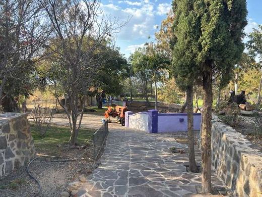 Garden Paradise, photograph 8