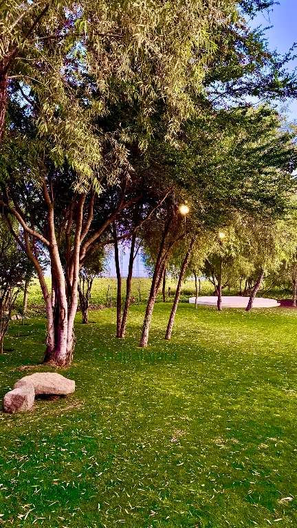 Casa Laguna Jardín 2, Lakefront, photograph 3
