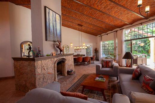 La Floresta Oasis, photograph 2