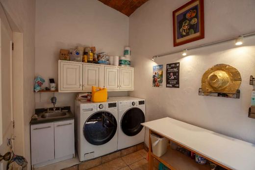 La Floresta Oasis, photograph 7