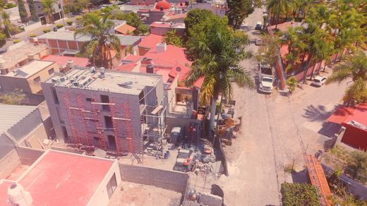 Puerto Chapala #A, photograph 12