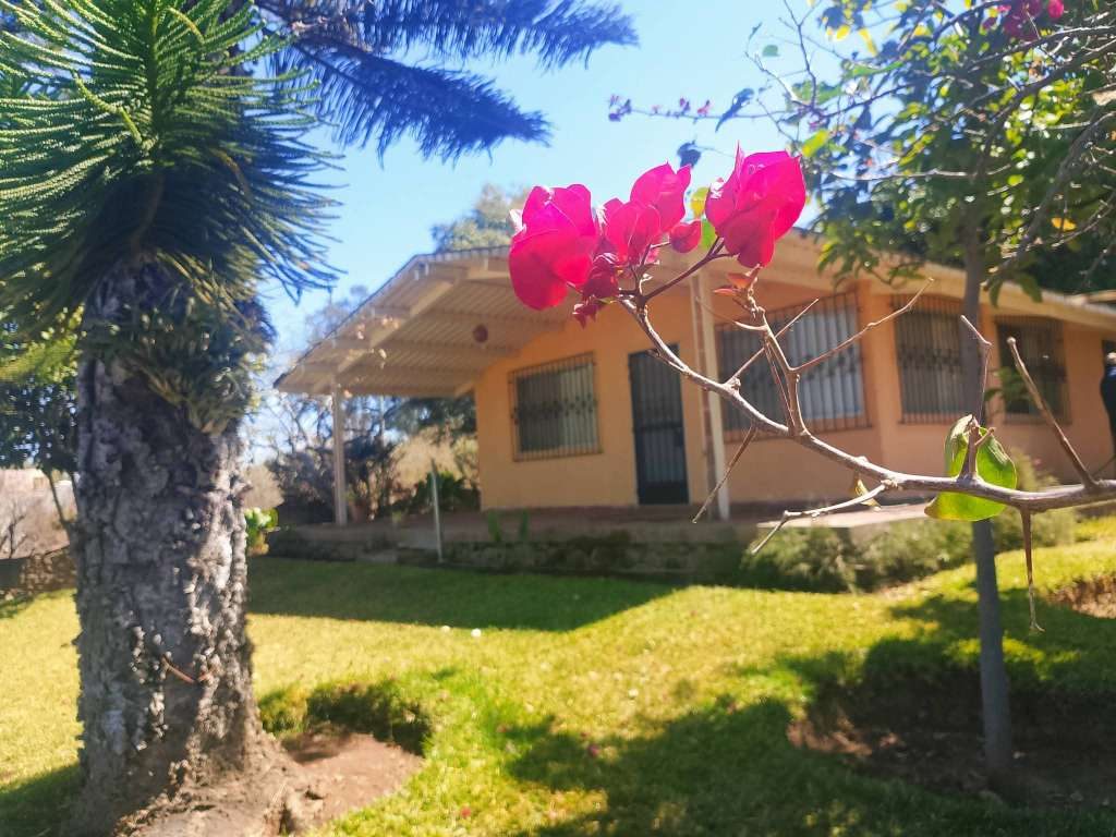 Puerto Corona 45 in Puerto Corona