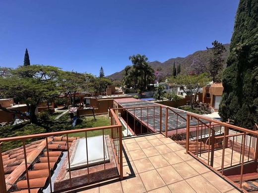 Floresta Loma #60, photograph 2
