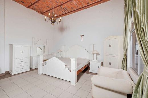 Ex Hacienda San Martin de Guadalupe, photograph 12