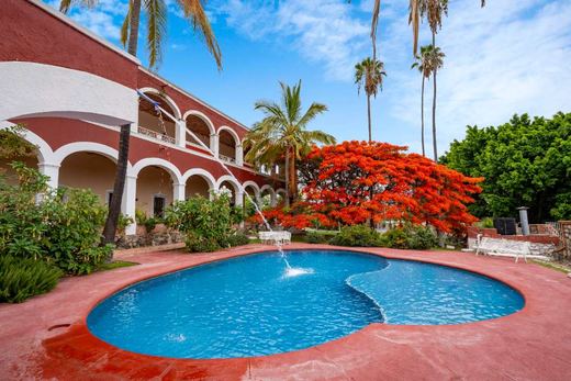 Ex Hacienda San Martin de Guadalupe, photograph 2