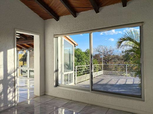 Casa PabloLa, photograph 5