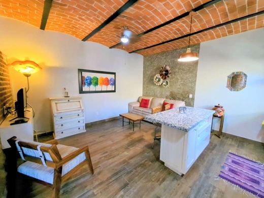 Ultimate Investment Ajijic, photograph 8