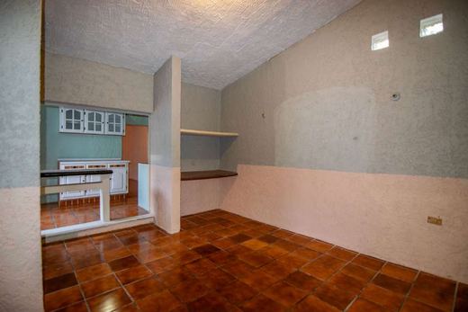 Casa de los Membrillos, photograph 9