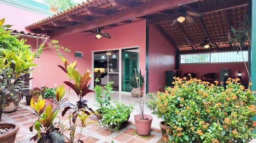 Casa Mariposa, photograph 4