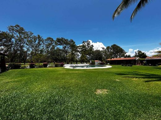 Golfers Hill, photograph 3