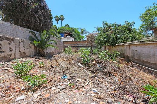 Ajijic Centro Fixer Upper, photograph 10
