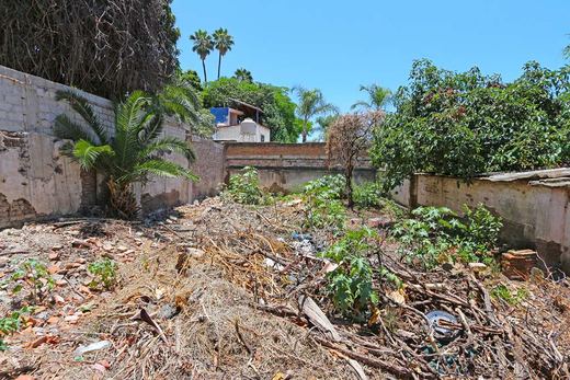 Ajijic Centro Fixer Upper, photograph 12