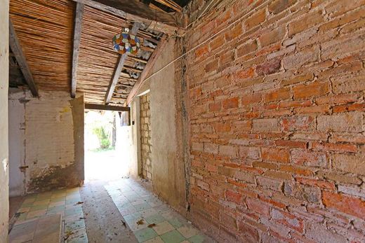 Ajijic Centro Fixer Upper, photograph 3