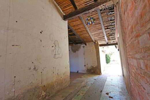 Ajijic Centro Fixer Upper, photograph 4
