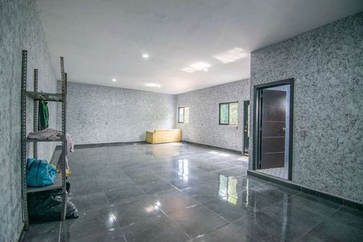 Casa Ramos, photograph 12
