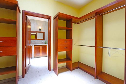 Casa Luisa, photograph 11