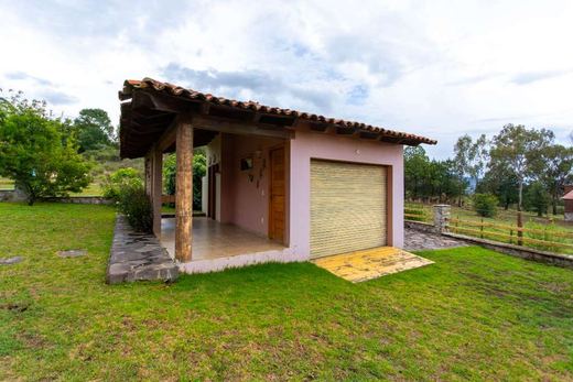Pinares Tapalpa ECO Retreat, photograph 11