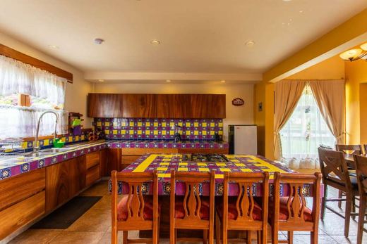 Pinares Tapalpa ECO Retreat, photograph 6