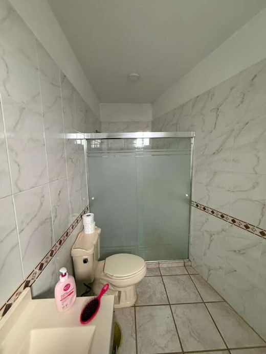 Casa Bravo, photograph 12