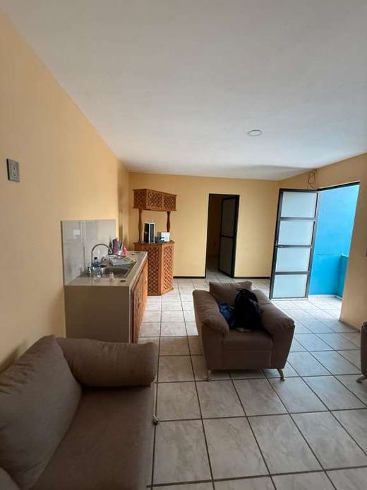 Casa Bravo, photograph 6