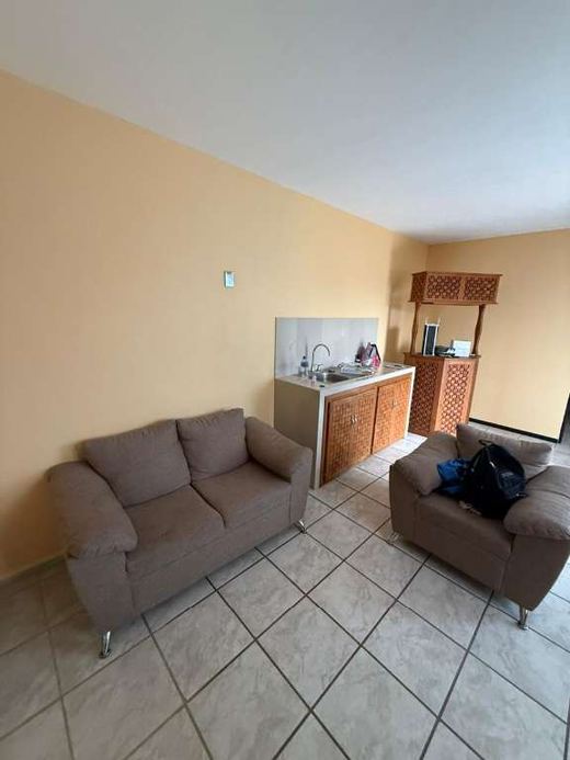 Casa Bravo, photograph 7