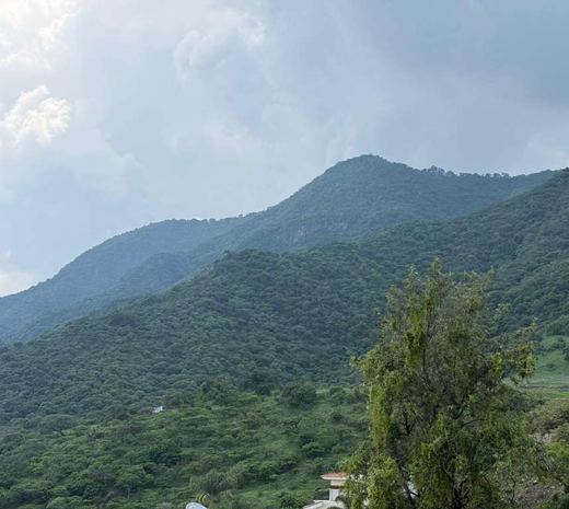 Vista Espectacular, photograph 11