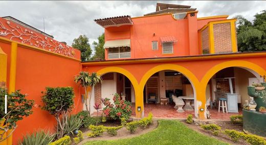 Casa Ibarra, photograph 3