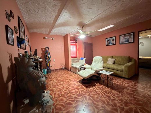 Casa Ibarra, photograph 6