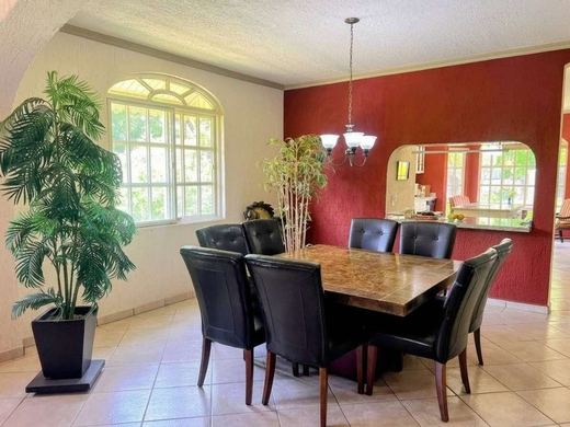 Sunlight Home, photograph 12