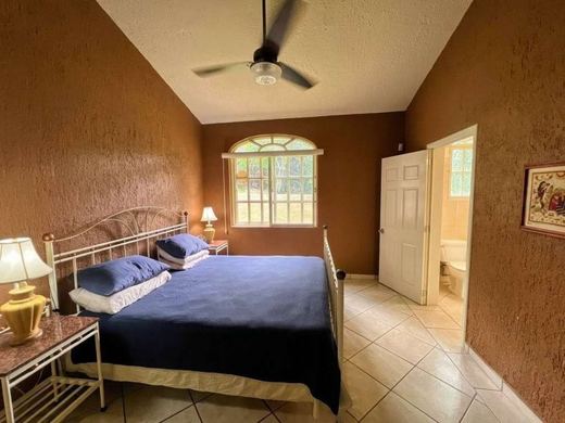 Sunlight Home, photograph 7