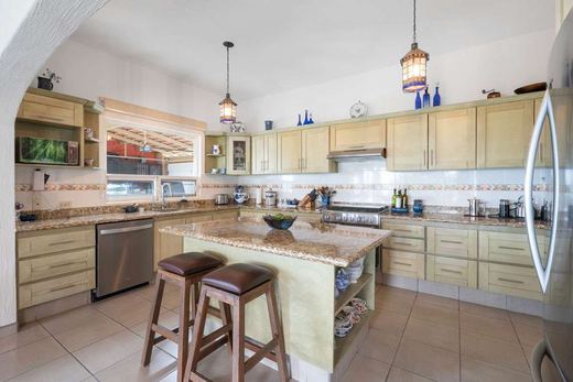Casa Dragonfly, photograph 5