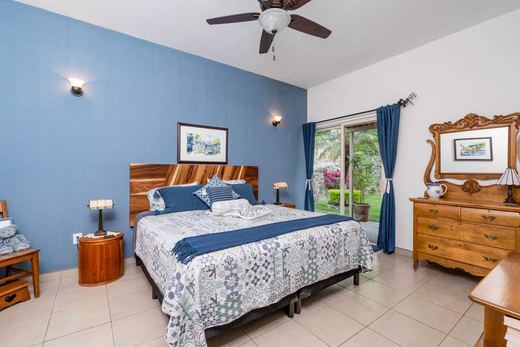 Casa Dragonfly, photograph 6