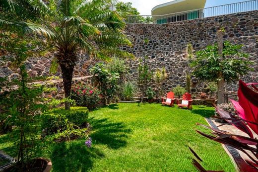 Casa Dragonfly, photograph 7