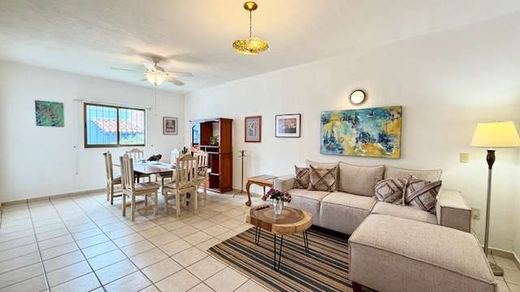 Casa Irma, photograph 2