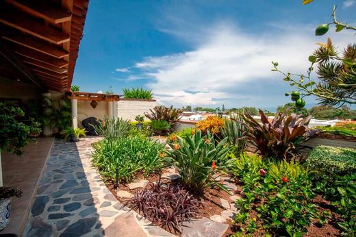 Puerta Arroyo Delight, photograph 12