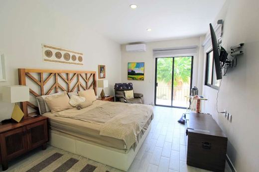 La Vistosa Luxury, photograph 12
